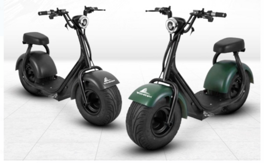 Mini Scooter Elétrica 1000W